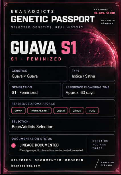 BeanAddicts Genetic Passport – Guava S1