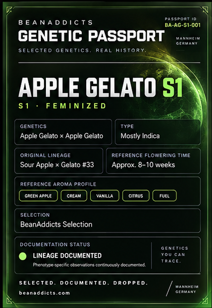 Apple Gelato S1 – Feminisierte Cannabissamen