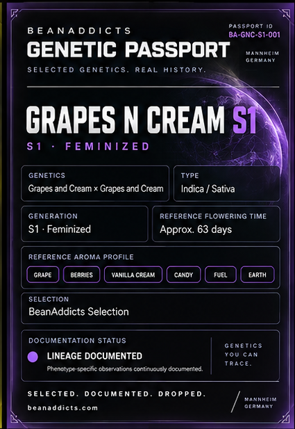 Grapes N Cream Samen – feminisierte S1 | BeanAddicts