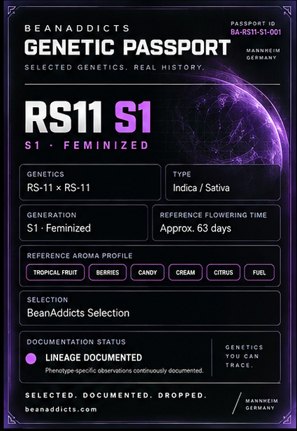 RS11 S1 – Feminisierte Cannabissamen