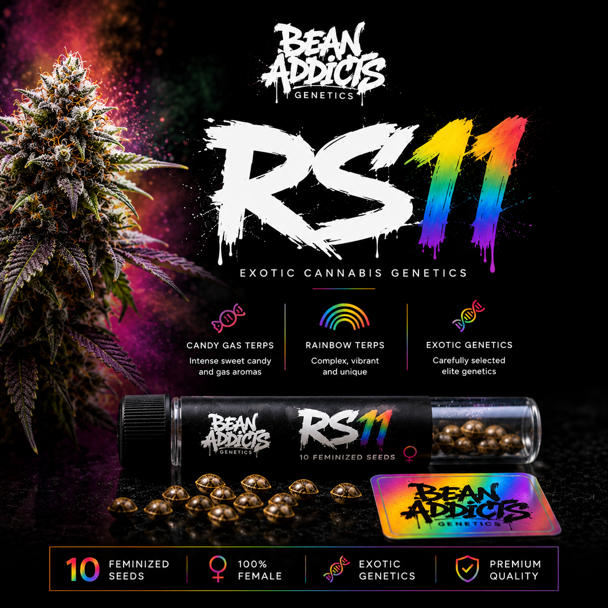 RS11