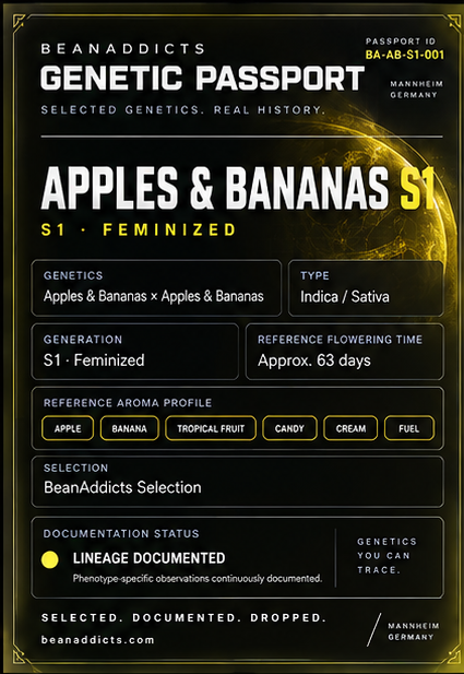 Apples and Bananas S1 – Feminisierte Cannabissamen
